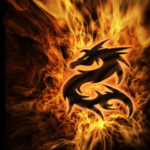 Meet your Posher, Luckydragon